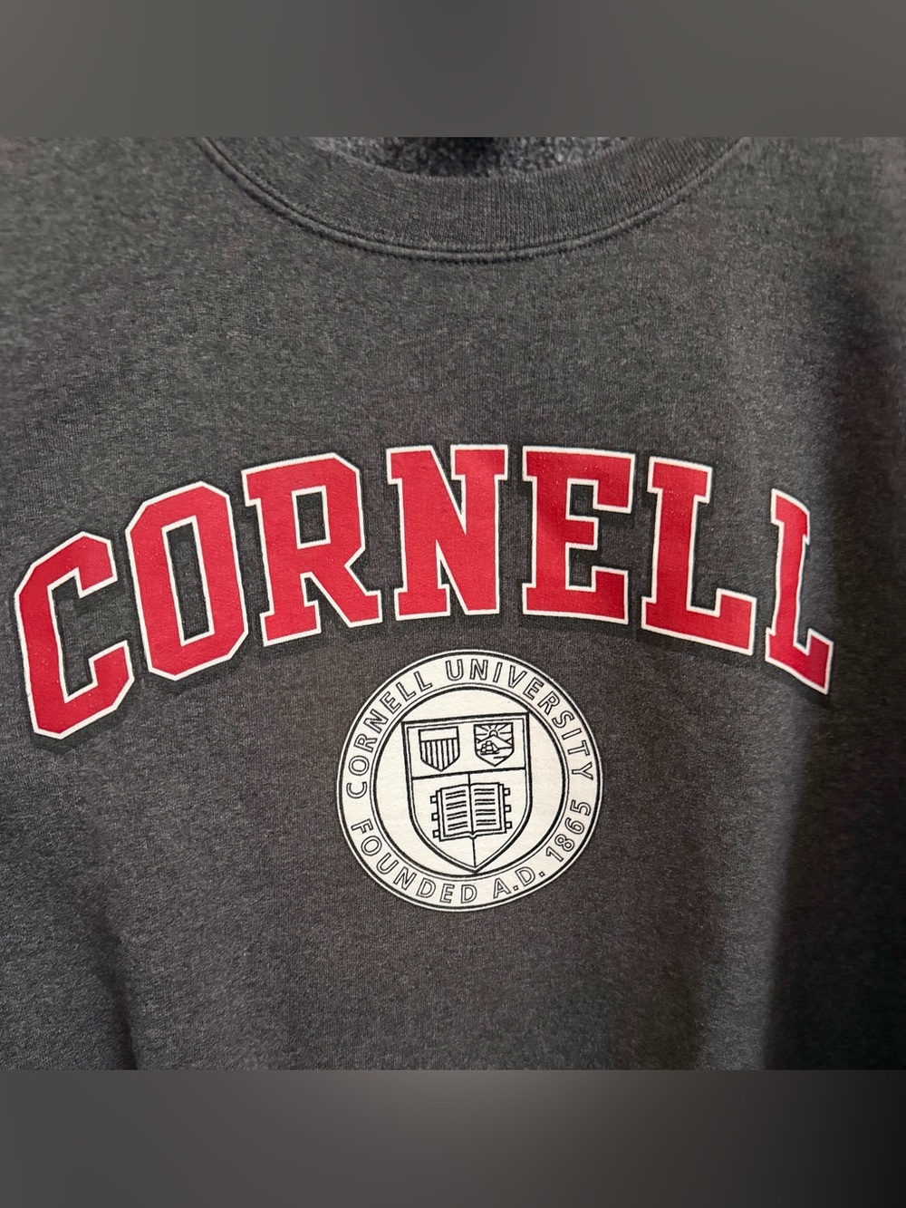 Vintage Cornell University Founded AD 1865 Adult Unisex Small Gray Sweatshirt - Picture 4 of 5